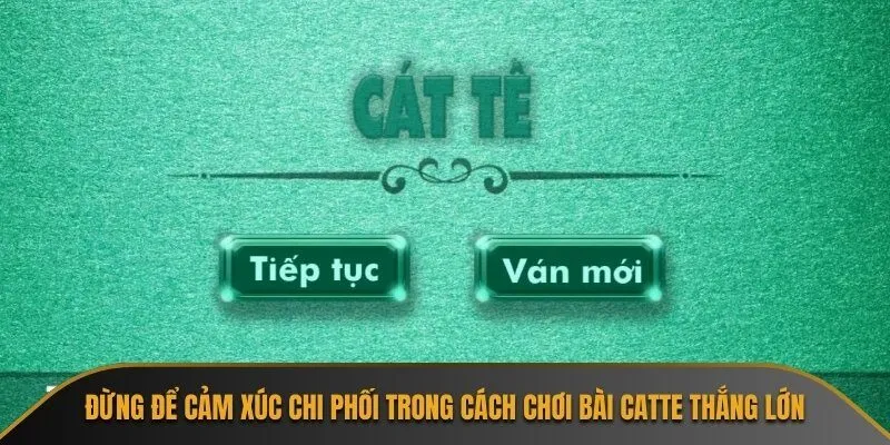 Đừng để cảm xúc chi phối trong cách chơi bài Catte thắng lớn